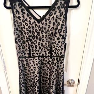Animal Print Lace Dress